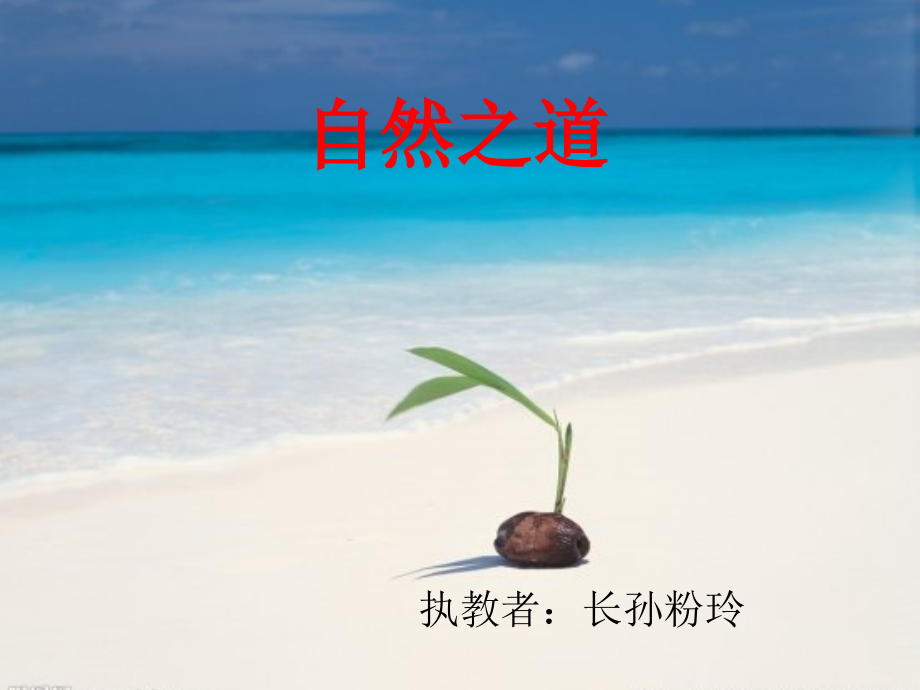 自然之道课件.ppt_第1页