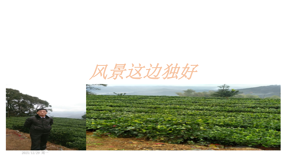 风景这边独好.pptx_第1页