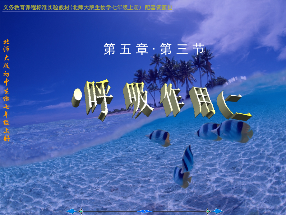 植物细胞都能进行呼吸与呼吸作用的原理.ppt_第1页