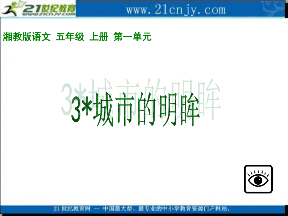 （湘教版）五年级语文课件城市的明眸.ppt_第1页