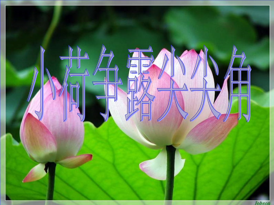 柳州市十六中邓炘第四单元第一节小荷争露尖尖角.ppt_第1页