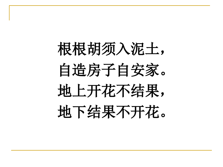 落花生（公开课）.ppt_第1页