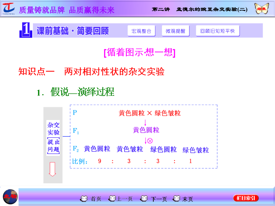 第二讲孟德尔的豌豆杂交实验(二).ppt_第2页