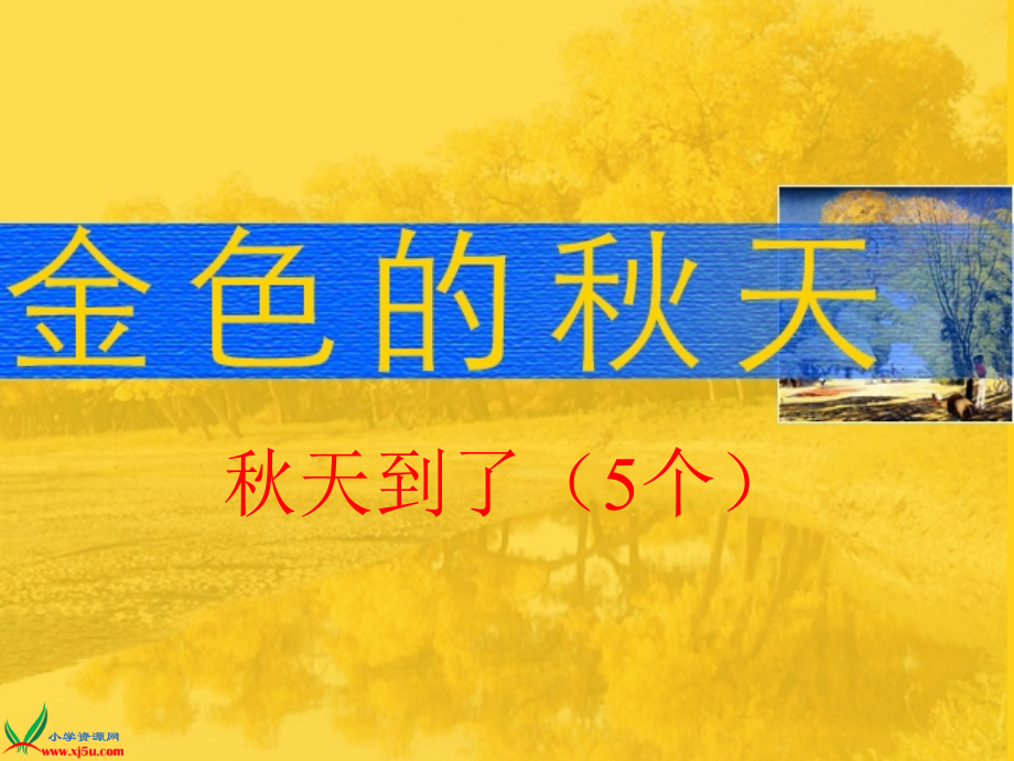 秋天在哪里中考复习用.ppt_第1页