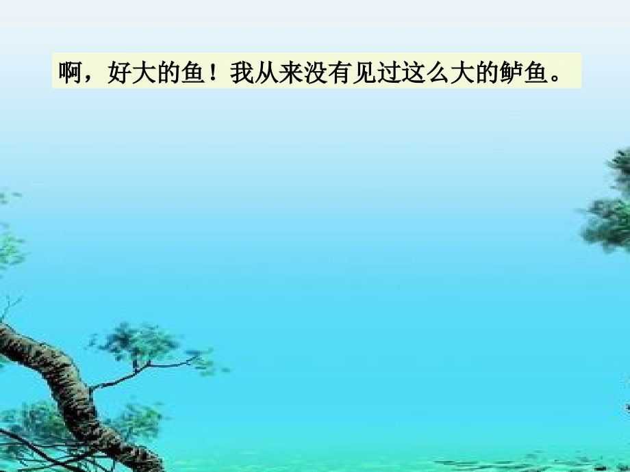 钓鱼的启示陈佳勒.ppt_第2页