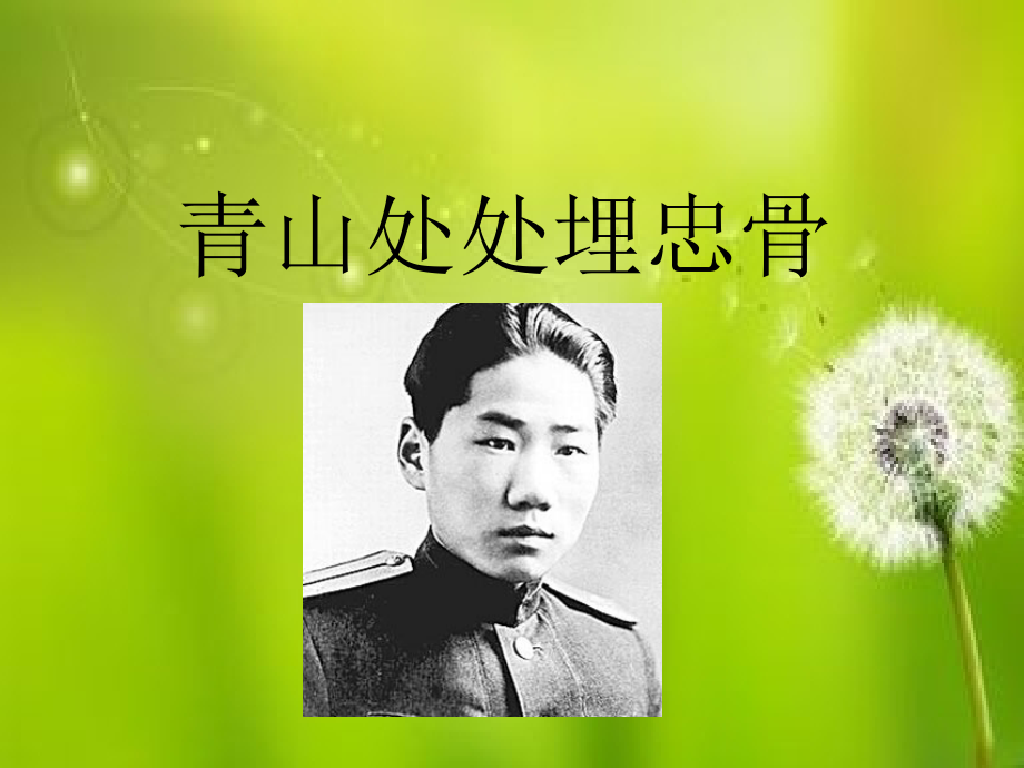 青山处处埋忠骨课件.pptx_第1页