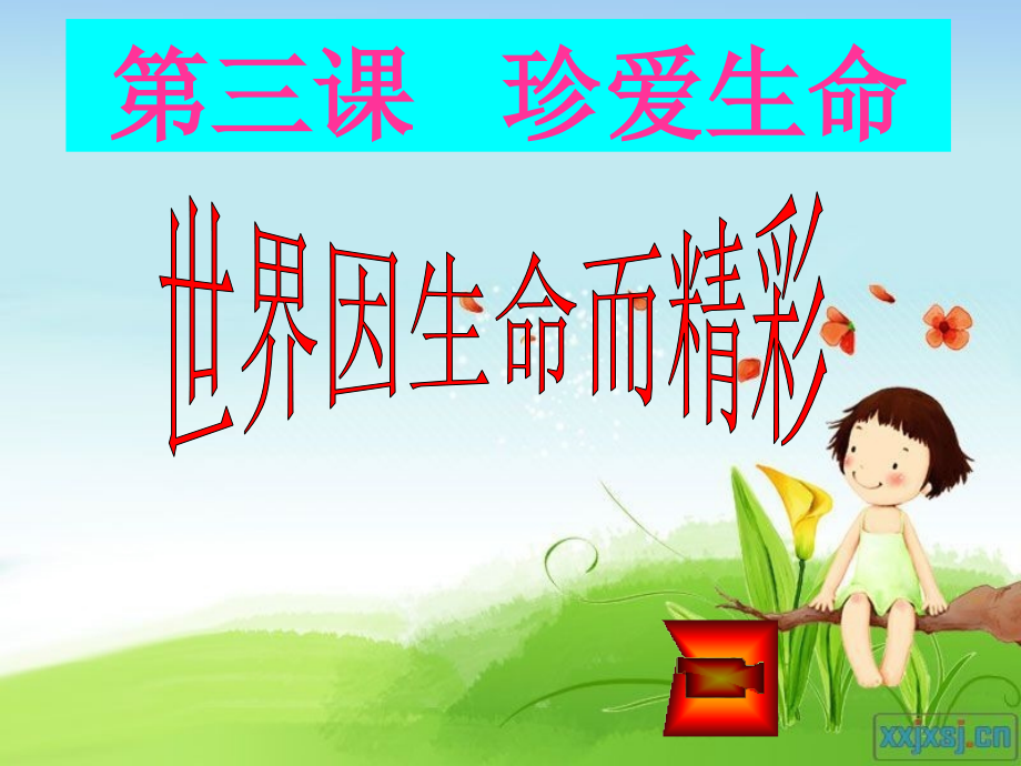 第一框世界因生命而精彩.ppt_第1页
