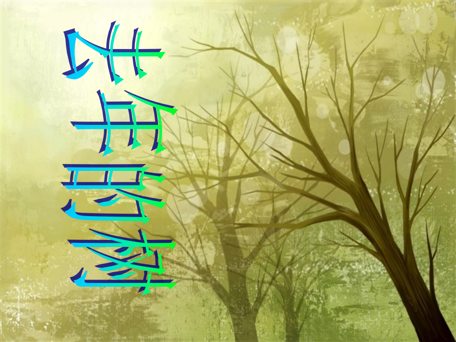 去年的树（四上）.ppt_第1页