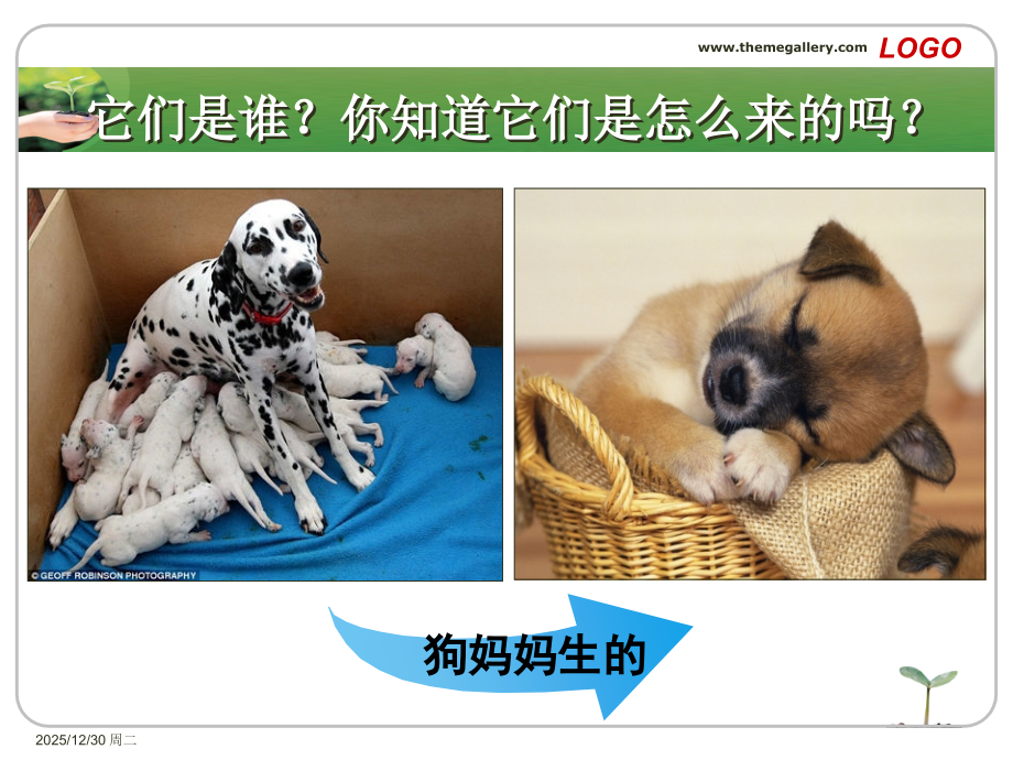 寻找有生命的物体课件.ppt_第2页