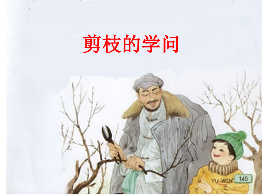 剪枝的学问张勇.ppt_第1页