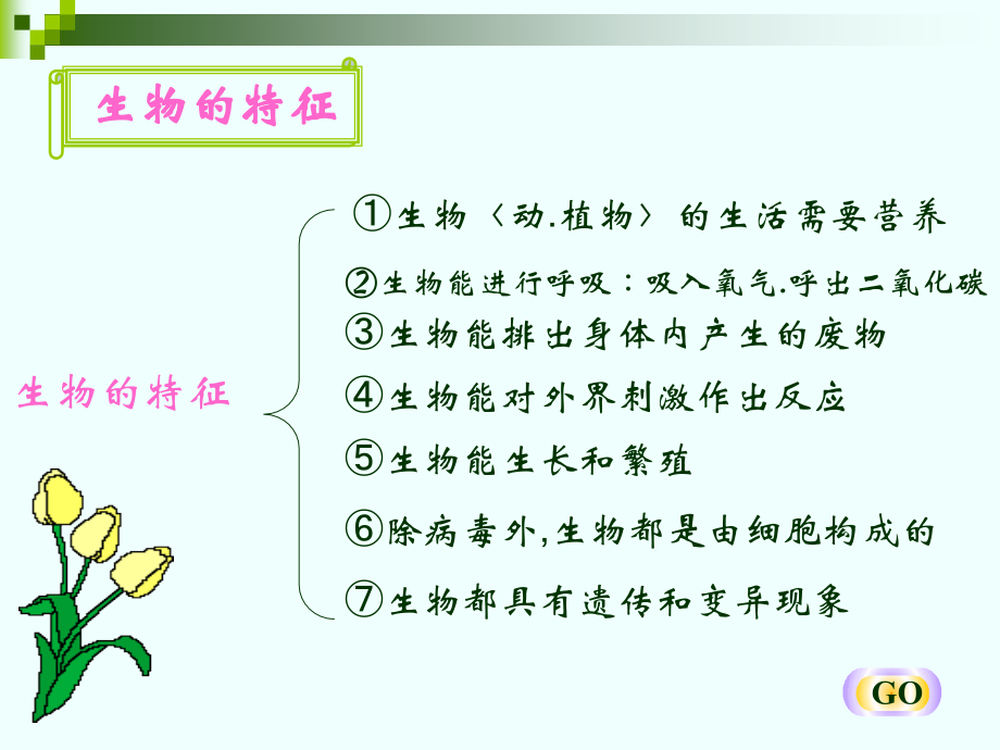 七年级生物上册复习.ppt_第2页