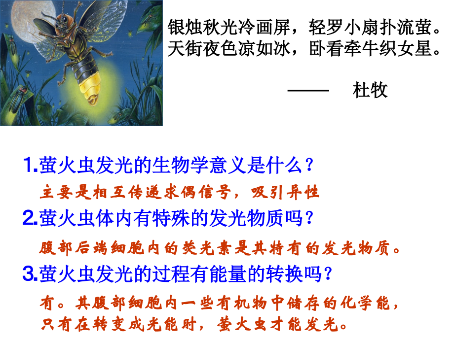 高一生物细胞的能量通货—ATP课件.ppt_第2页