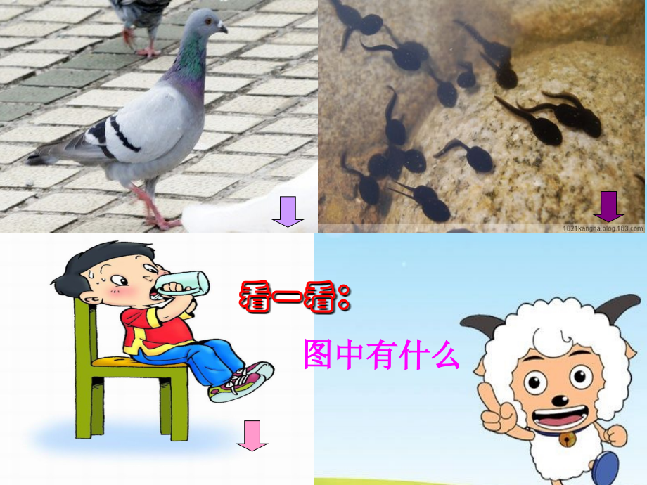 声母gkhMicrosoft_PowerPoint_幻灯片.ppt_第2页