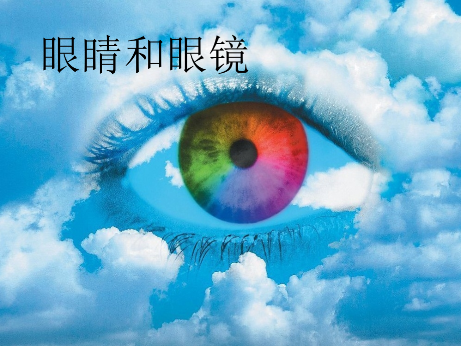 四__眼睛和眼镜PPT.ppt_第2页