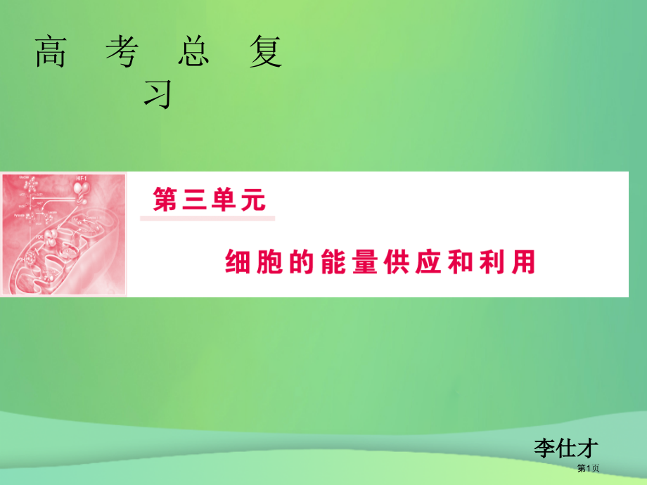 高考生物总复习第三单元细胞的能量供应和利用第10讲光与光合作用全国公开课一等奖百校联赛示范课赛课特等.pptx_第1页