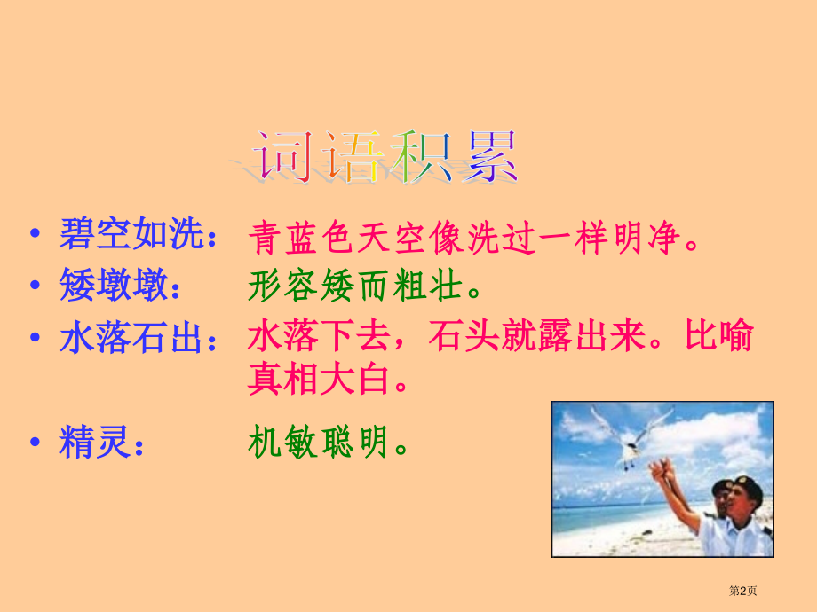 鲁教版五年级语文上册彩色的翅膀1省公开课一等奖全国示范课微课金奖PPT课件.pptx_第2页