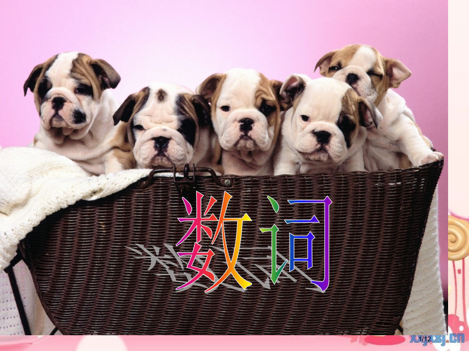 小学英语数量词省公开课金奖全国赛课一等奖微课获奖PPT课件.pptx_第1页