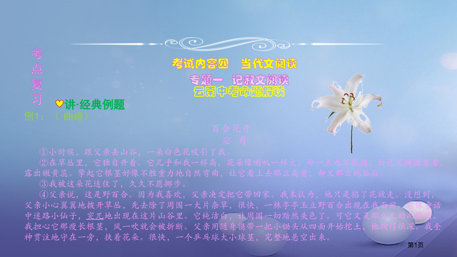 中考语文专题一记叙文阅读复习省公开课一等奖百校联赛赛课微课获奖PPT课件.pptx_第1页