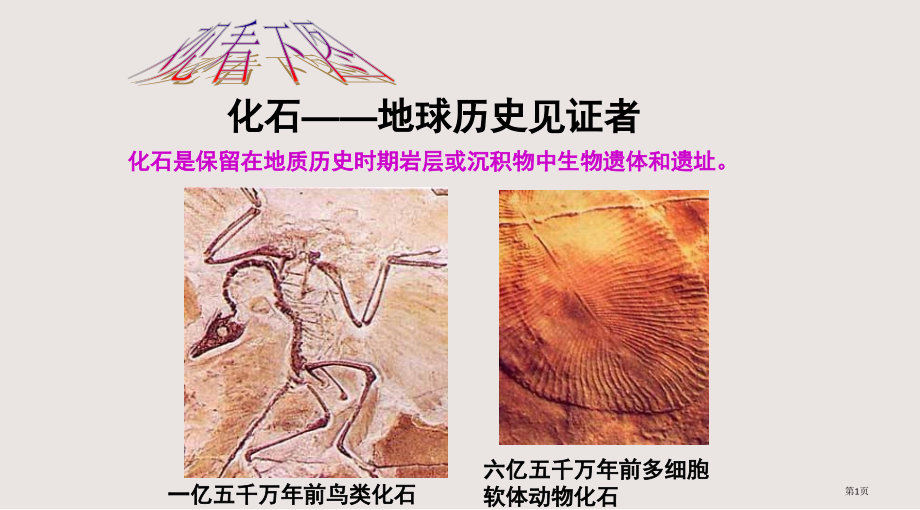 七年级语文化石吟1省公开课一等奖全国示范课微课金奖PPT课件.pptx_第1页