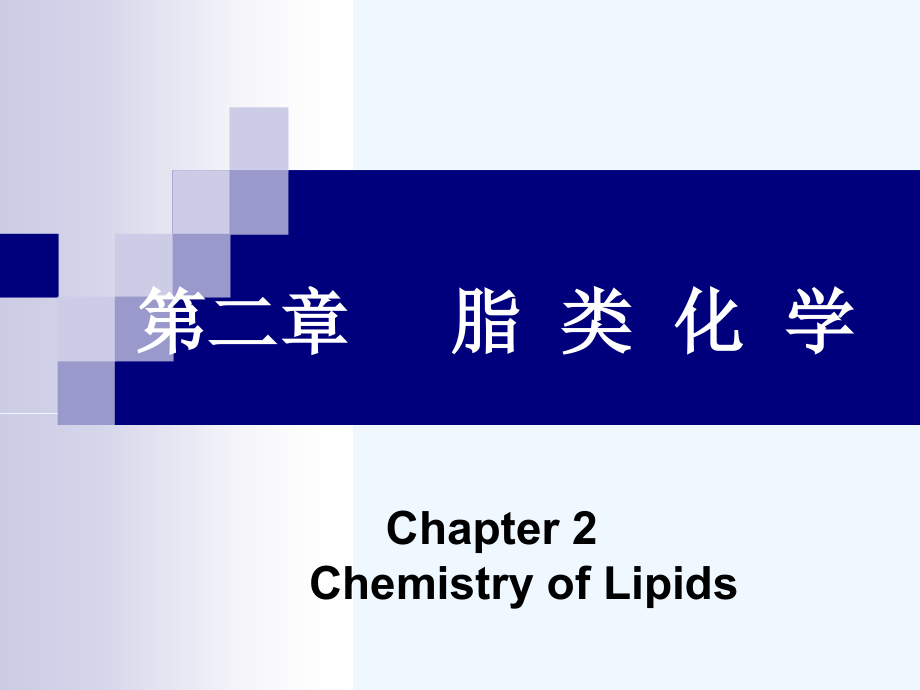 上海10白底脂化学代谢双语new.ppt_第1页