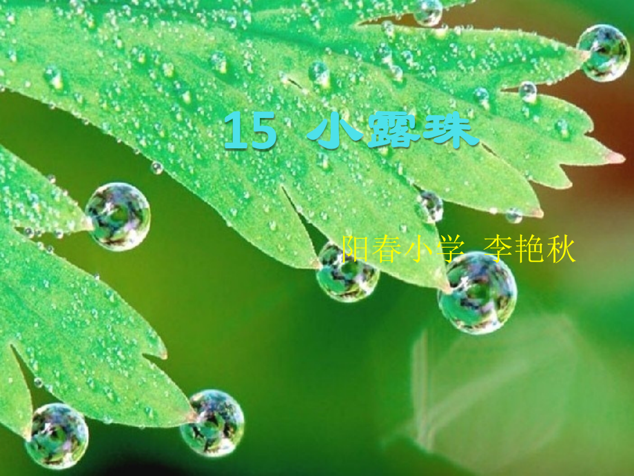 新小露珠.ppt_第1页