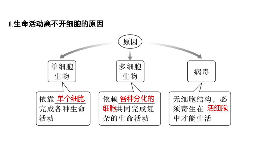 (病毒介绍详细)2022届高三生物一轮复习：1-1+借助显微镜走近细胞.pptx_第2页