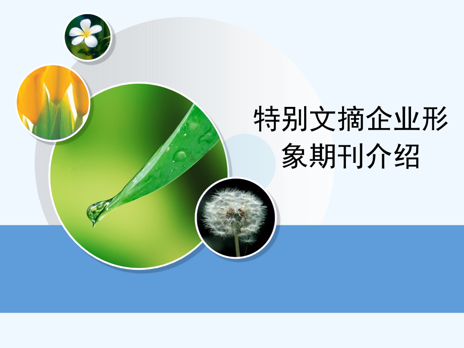 特别文摘项目介绍.ppt_第1页