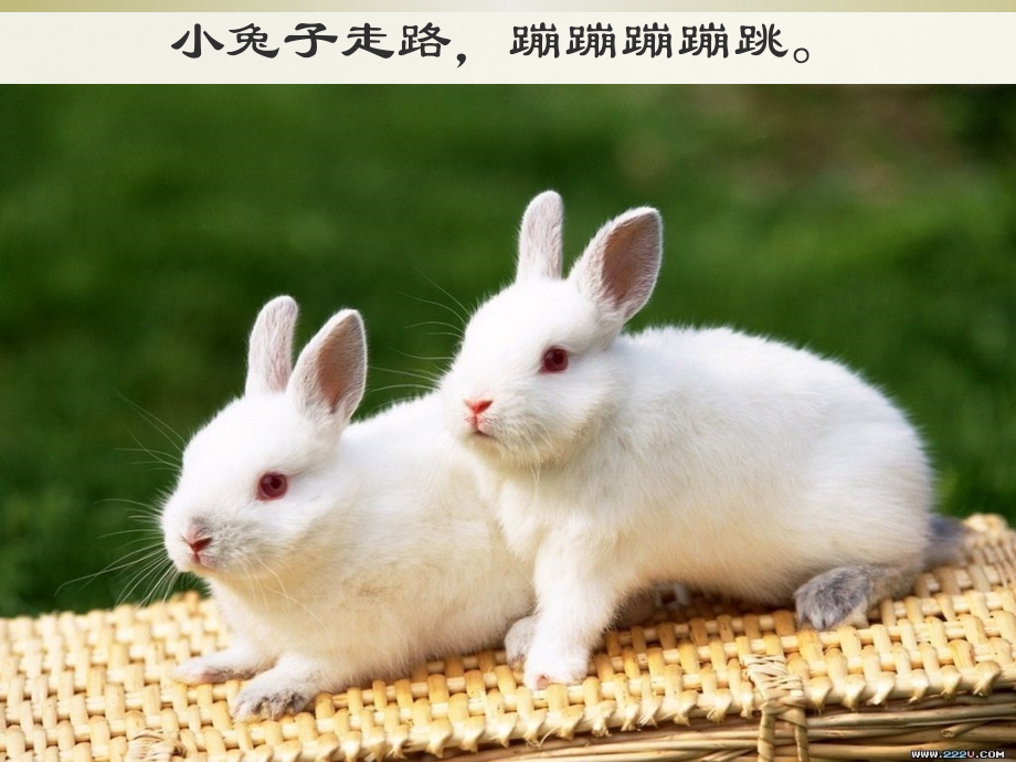 课件《走路》.ppt_第2页