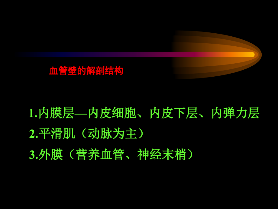 显微外科学习班资料.ppt_第2页