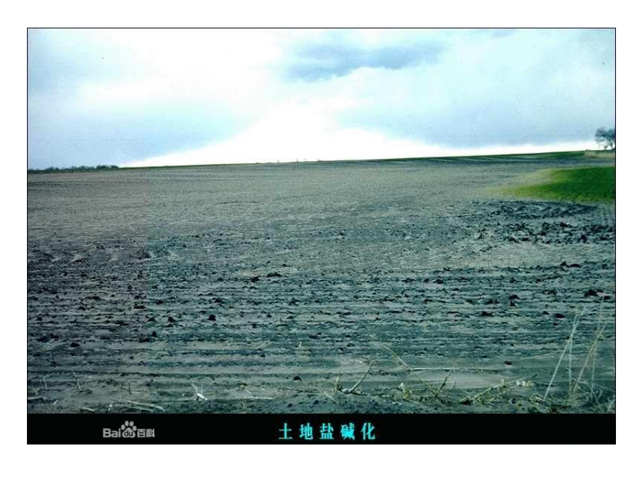 土壤盐碱化及一些知识点框架.ppt_第2页