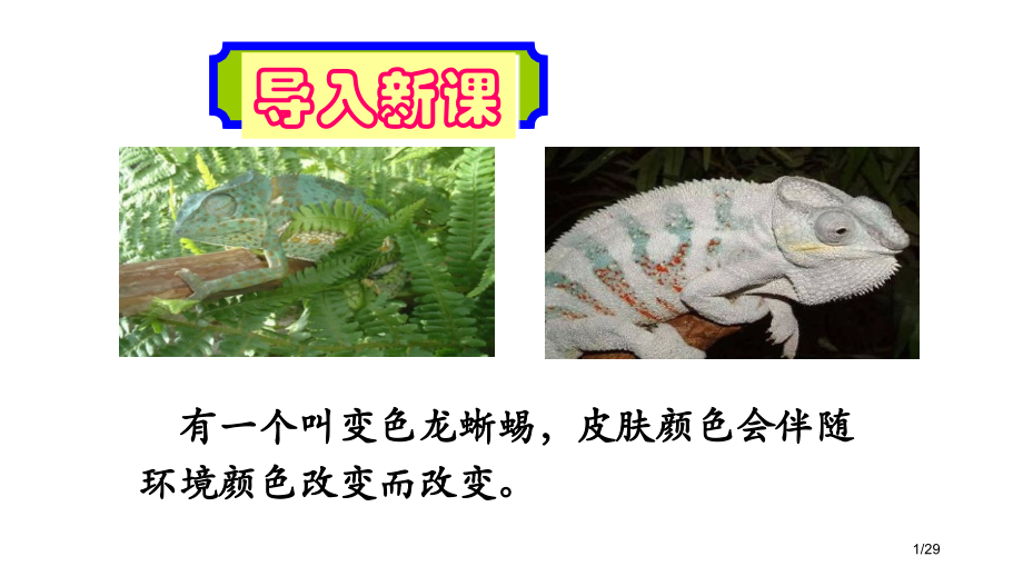 6.《变色龙》省公开课一等奖全国示范课微课金奖PPT课件.pptx_第1页