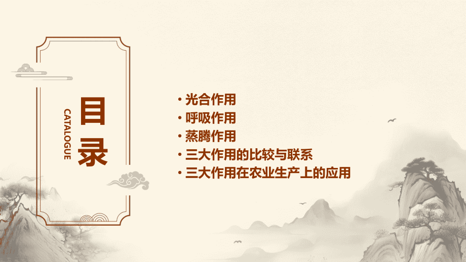 经典植物三大作用专题复习.pptx_第2页