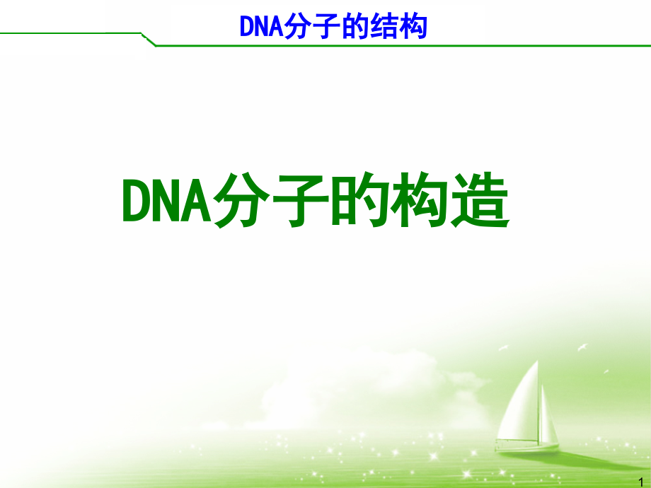 DNA的分子结构第一课时.pptx_第1页
