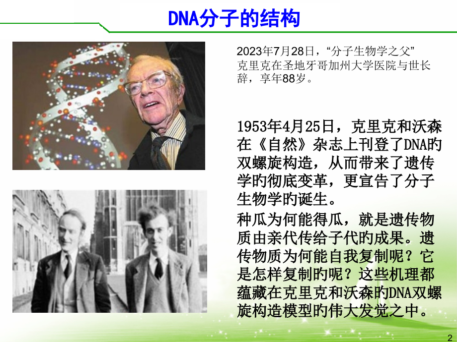 DNA的分子结构第一课时.pptx_第2页