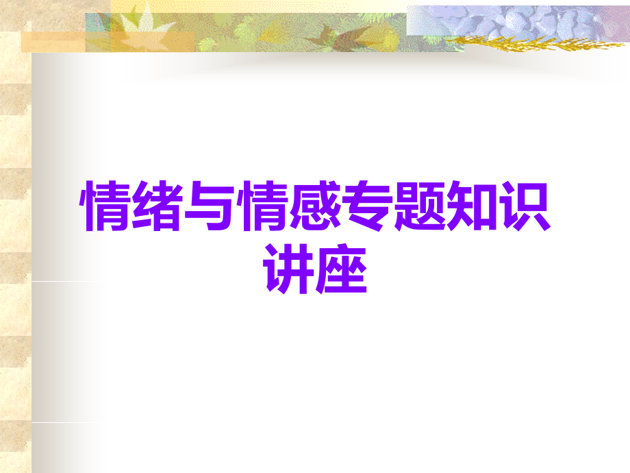 情绪与情感专题知识讲座.ppt_第1页