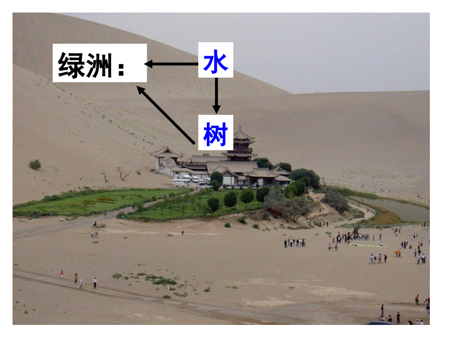 荒漠化和湿地破坏原因-措施-高三复习.pptx_第2页