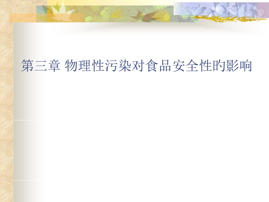 物理性污染对食品安全性的影响.pptx_第1页