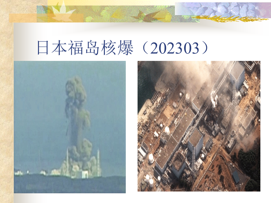物理性污染对食品安全性的影响.pptx_第2页