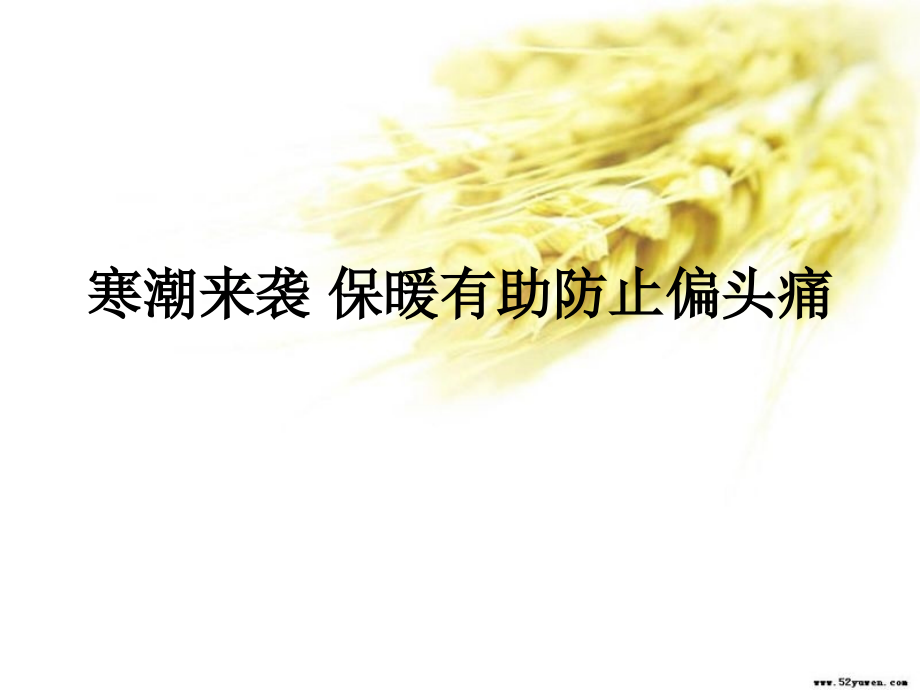 寒潮来袭 保暖有助防止偏头痛.ppt_第1页