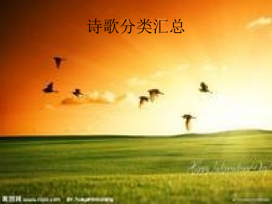 诗歌分类汇总.ppt_第1页