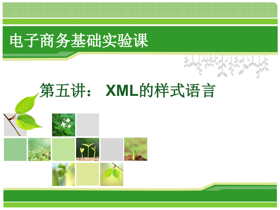 XML的样式语言.ppt_第1页