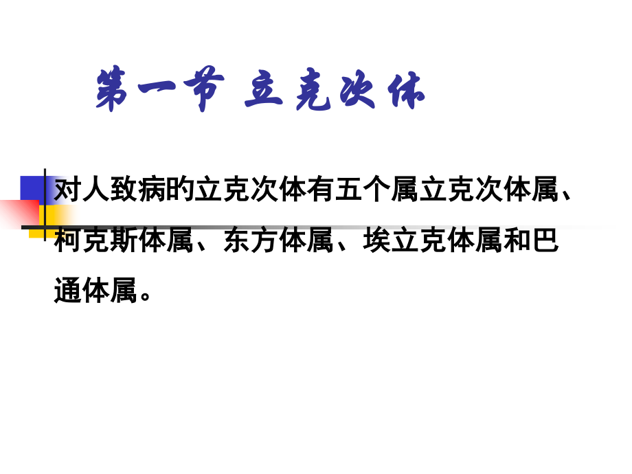 病毒感染的诊断与防治p.ppt_第2页