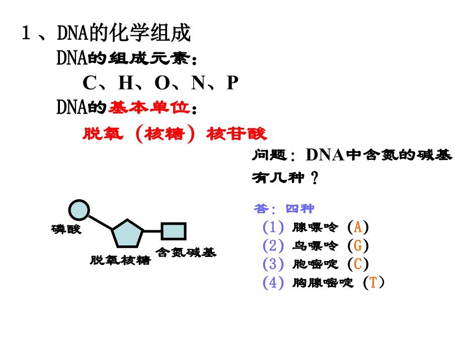 必修2第三章第二节DNA分子的结构.ppt_第2页