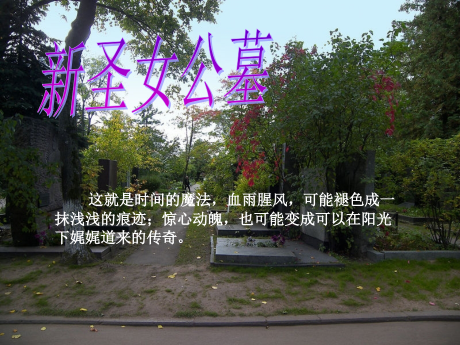 新圣女公墓介绍及感想.ppt_第1页