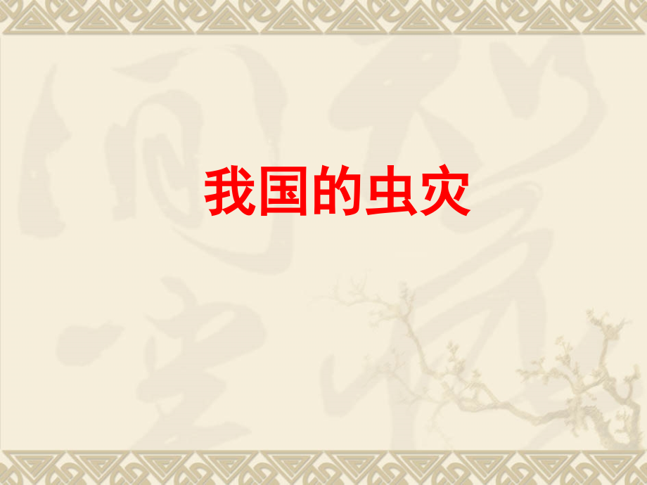 我国的虫灾.ppt_第1页