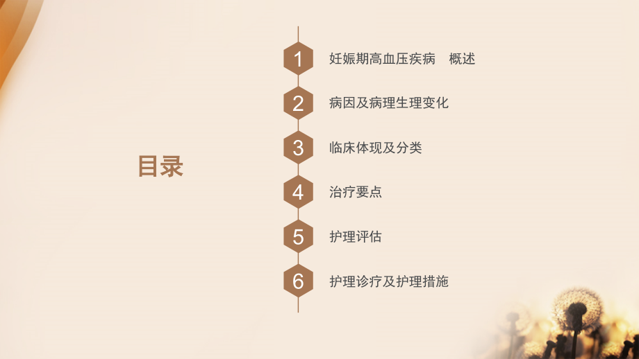 妊娠期高血压课件.ppt_第2页