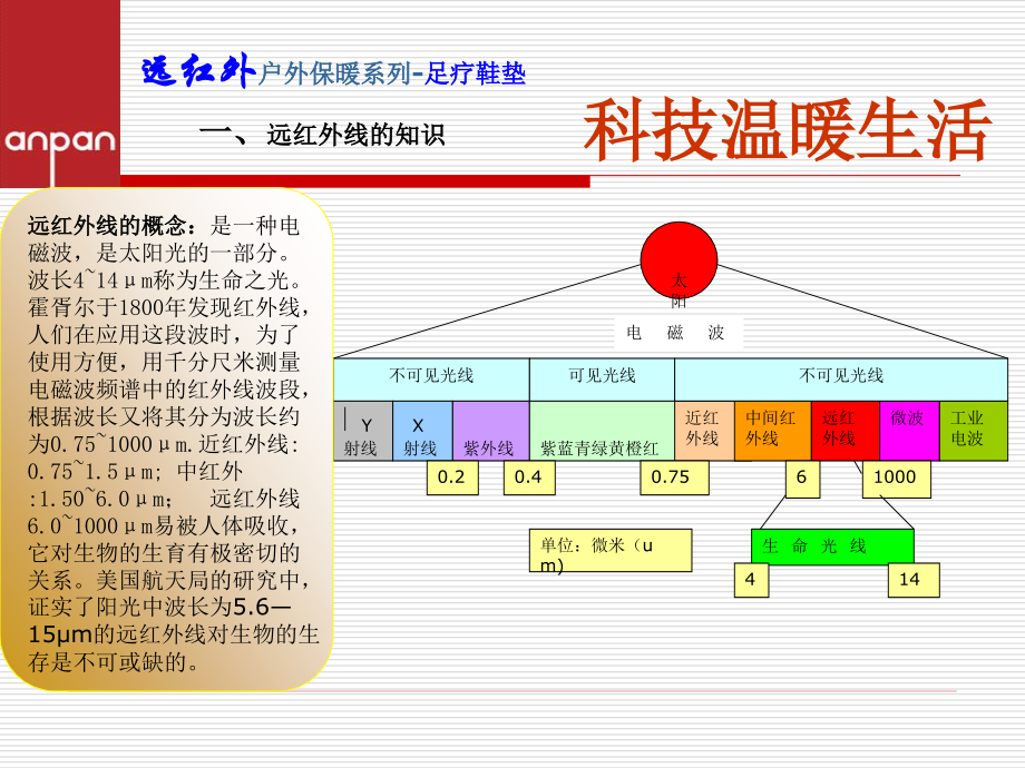电热保暖鞋垫.ppt_第2页
