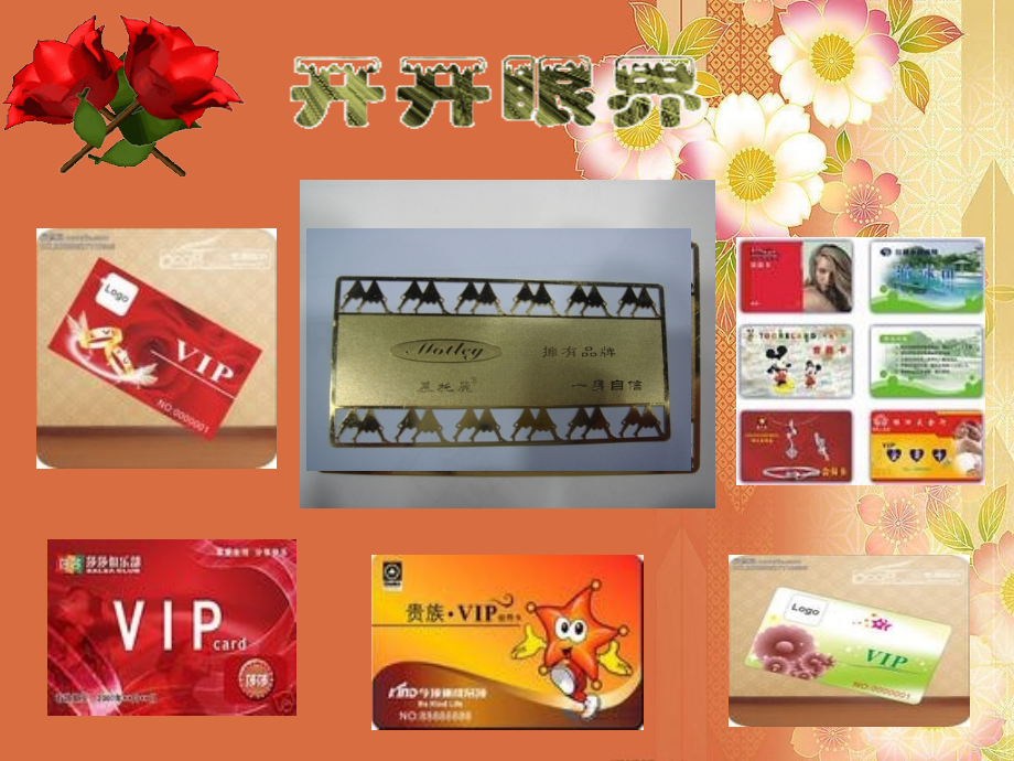 VIP-修改.pptx_第1页