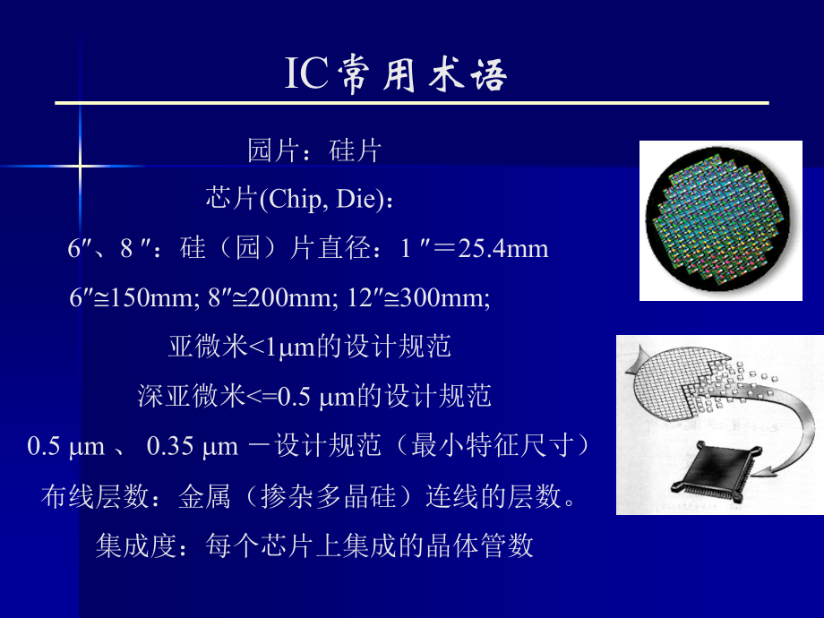 半导体集成电路概述.ppt_第2页