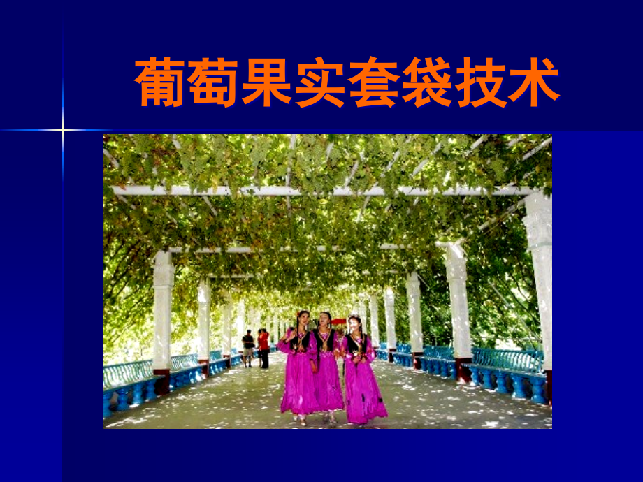 葡萄套袋技术.pptx_第1页